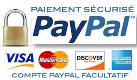 paypal-transaction